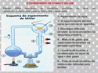 A solução é preparadaO gargalo é aquecido e moldado.Mesmo com o balão aberto, a solução não apresentou qualquer manifestação de vida.Ao quebrar o gargalo, microorganismos não são encontrados na solução.A solução é fervida e esterilizadaOs frascos com pescoço de Cisne, de Pasteur, derrubaram definitivamente a teoria da ABIOGÊNESE, provando que toda vida provém de outra vida preexistente.
