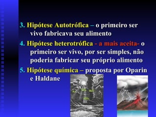 3.  Hipótese Autotrófica  –  o primeiro ser vivo fabricava seu alimento 4.  Hipótese heterotrófica   - a mais aceita-   o primeiro ser vivo, por ser simples, não poderia fabricar seu próprio alimento 5.  Hipótese química –  proposta por Oparin e Haldane 