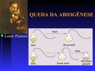 QUEDA DA ABIOGÊNESE Louis Pasteur 