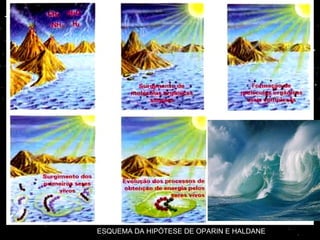 ESQUEMA DA HIPÓTESE DE OPARIN E HALDANE  
