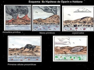 Esquema  da Hipótese de Oparin e Haldane coacervados Primeiras células procarióticas Atmosfera primitiva Mares primitivos 