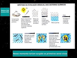 Metano CH4 Amónia NH3 Nesse momento teriam surgido os primeiros seres vivos 
