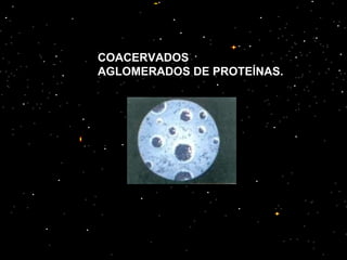 COACERVADOS AGLOMERADOS DE PROTEÍNAS. 