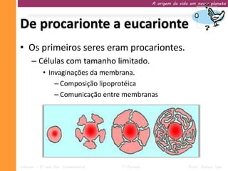 A origem da vida em nosso planeta




De procarionte a eucarionte
• Os primeiros seres eram procariontes.
     – Células com tamanho limitado.
           • Invaginações da membrana.
               – Composição lipoprotéica
               – Comunicação entre membranas




Ciências – 9º ano Ens. Fundamental   1º Período                   Profa. Rebeca Vale
 