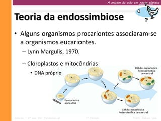 A origem da vida em nosso planeta




Teoria da endossimbiose
• Alguns organismos procariontes associaram-se
  a organismos eucariontes.
     – Lynn Margulis, 1970.
     – Cloroplastos e mitocôndrias
           • DNA próprio




Ciências – 9º ano Ens. Fundamental   1º Período                   Profa. Rebeca Vale
 