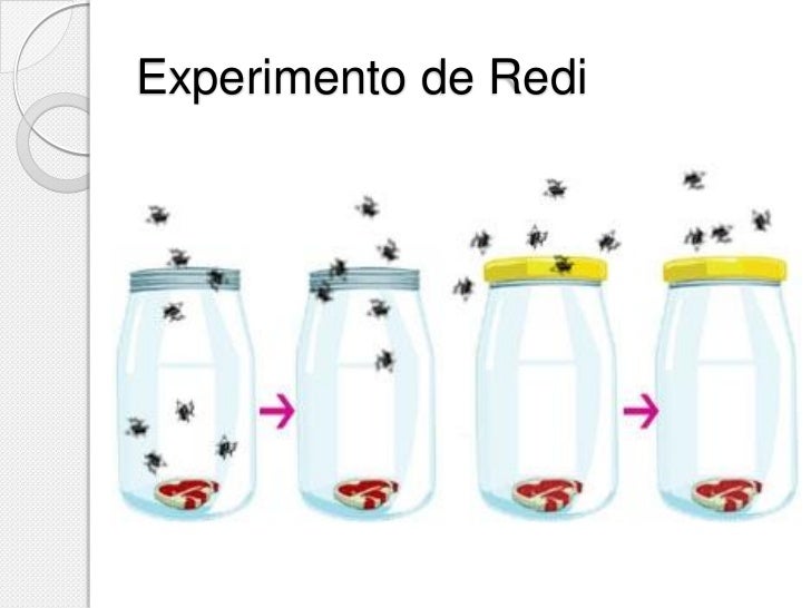 A Figura Seguinte Representa A Experiencia De Redi
