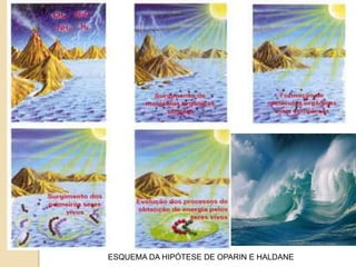 ESQUEMA DA HIPÓTESE DE OPARIN E HALDANE
 