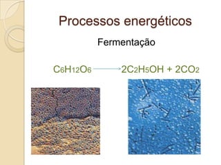 Processos energéticos
          Fermentação

C6H12O6       2C2H5OH + 2CO2
 