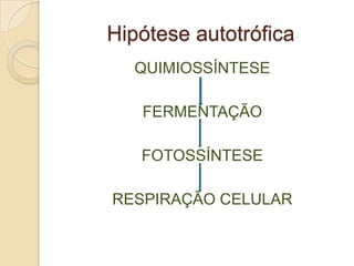 Hipótese autotrófica
  QUIMIOSSÍNTESE

   FERMENTAÇÃO

   FOTOSSÍNTESE

RESPIRAÇÃO CELULAR
 
