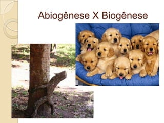 Abiogênese X Biogênese
 