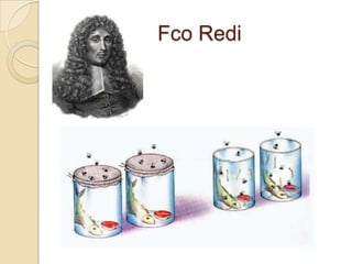 Fco Redi
 