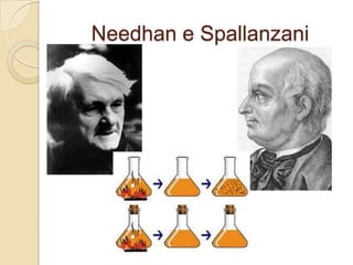Needhan e Spallanzani
 