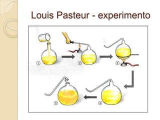 Louis Pasteur - experimento
 