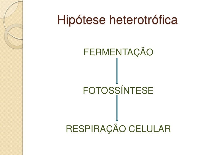 Hipótese Heterotrófica: Origem E Principais Características – IRYRK