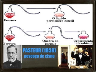 PASTEUR (1859)
pescoço de cisne
 