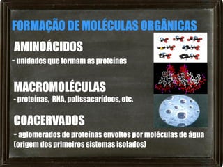 FORMAÇÃO DE MOLÉCULAS ORGÂNICAS
AMINOÁCIDOS
- unidades que formam as proteínas

MACROMOLÉCULAS
- proteínas, RNA, polissacarídeos, etc.

COACERVADOS
- aglomerados de proteínas envoltos por moléculas de água
(origem dos primeiros sistemas isolados)
 