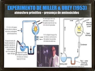 EXPERIMENTO DE MILLER & UREY (1953)
   atmosfera primitiva – presença de aminoácidos
 