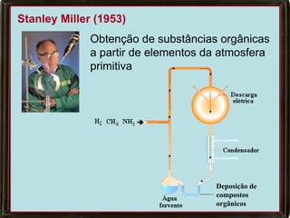Stanley Miller (1953)
              Obtenção de substâncias orgânicas
              a partir de elementos da atmosfera
              primitiva




                                     Deposição de
                                     compostos
                                     orgânicos
 