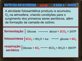 HIPÓTESE AUTOTRÓFICA                é hoje a + aceita
A atividade fotossintética produziu e acumulou
O2 na atmosfera, criando condições para o
surgimento dos primeiros seres aeróbicos, além
da formação da camada de ozônio.

fermentação     Glicose          álcool + 2CO2 + 2ATP

fotossíntese 6CO2 + 6H2O + luz          glicose + 6O2

respiração Glicose + 6O          6CO2 + 6H2O + 38ATP
                        2
 aeróbica
 
