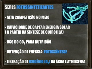 SERES FOTOSSINTETIZANTES

- ALTA COMPETIÇÃO NO MEIO

- CAPACIDADE DE CAPTAR ENERGIA SOLAR
( A PARTIR DA SÍNTESE DE CLOROFILA)

- USO DO CO2 PARA NUTRIÇÃO

- OBTENÇÃO DE ENERGIA: FOTOSSÍNTESE

- LIBERAÇÃO DE OXIGÊNIO (O2) NA ÁGUA E ATMOSFERA
 