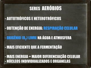 SERES AERÓBIOS

- AUTOTRÓFICOS E HETEROTRÓFICOS

- OBTENÇÃO DE ENERGIA: RESPIRAÇÃO CELULAR

- OXIGÊNIO (O2) LIVRE NA ÁGUA E ATMOSFERA

- MAIS EFICIENTE QUE A FERMENTAÇÃO

- MAIS ENERGIA = MAIOR DIFERENCIAÇÃO CELULAR
- NÚCLEOS INDIVIDUALIZADOS E ORGANELAS
 