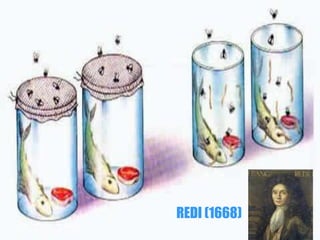 REDI (1668)
 