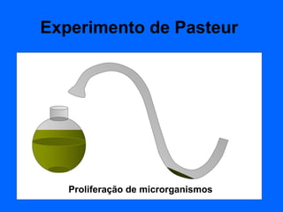 Experimento de Pasteur




   Proliferação de microrganismos
 