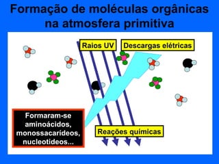 Formação de moléculas orgânicas
     na atmosfera primitiva
                   Raios UV   Descargas elétricas




  Formaram-se
  aminoácidos,
monossacarídeos,      Reações químicas
 nucleotideos...
 