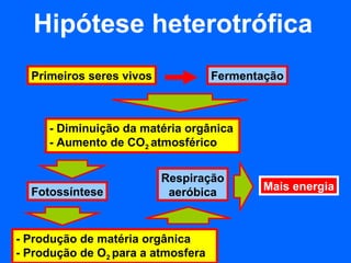 Hipótese heterotrófica
  Primeiros seres vivos             Fermentação



     - Diminuição da matéria orgânica
     - Aumento de CO2 atmosférico


                          Respiração
  Fotossíntese             aeróbica        Mais energia



- Produção de matéria orgânica
- Produção de O2 para a atmosfera
 