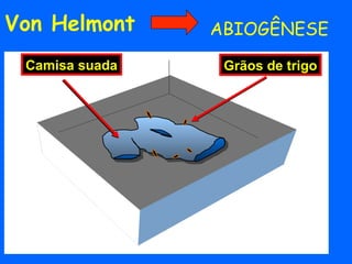 Von Helmont     ABIOGÊNESE
 Camisa suada    Grãos de trigo
 