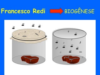 Francesco Redi   BIOGÊNESE
 