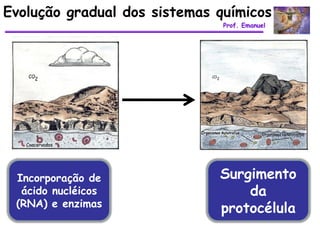 Evolução gradual dos sistemas químicos
                               Prof. Emanuel




 Incorporação de              Surgimento
  ácido nucléicos                 da
 (RNA) e enzimas
                              protocélula
 