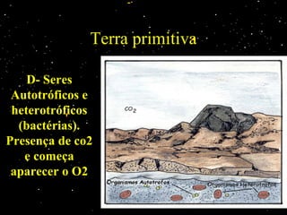 Terra primitiva
D- Seres
Autotróficos e
heterotróficos
(bactérias).
Presença de co2
e começa
aparecer o O2
 