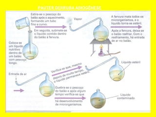 PAUTER DERRUBA ABIOGÊNESE
 
