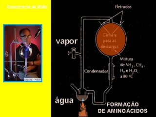 Experimento de Miller
 