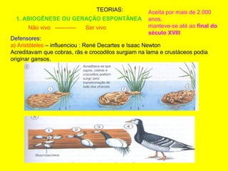 TEORIAS:
1. ABIOGÊNESE OU GERAÇÃO ESPONTÂNEA:
Não vivo ----------- Ser vivo
Defensores:
a) Aristóteles – influenciou : René Decartes e Isaac Newton
Acreditavam que cobras, rãs e crocodilos surgiam na lama e crustáceos podia
originar gansos.
Aceita por mais de 2.000
anos.
manteve-se até ao final do
século XVIII
 