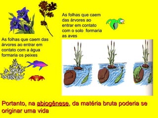 As folhas que caem dasAs folhas que caem das
árvores ao entrar emárvores ao entrar em
contato com a águacontato com a água
formaria os peixesformaria os peixes
As folhas que caemAs folhas que caem
das árvores aodas árvores ao
entrar em contatoentrar em contato
com o solo formariacom o solo formaria
as avesas aves
Portanto, naPortanto, na abiogêneseabiogênese, da matéria bruta poderia se, da matéria bruta poderia se
originar uma vidaoriginar uma vida
 