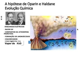 A hipótese de Oparin e Haldane
Evolução Química
Oparin , A I (1894-1980
Haldane, J.B.S (1802-1964)
Os primeiros seres vivos- Moléculas orgânicas
Que teriam se formado na atmosfera primitiva
e depois nos mares a partir de Substâncias inorgânicas.
Metano CH4
Amônia NH3
Hidrogênio H2
Vapor de H2O
Década de 1920- hipóteses semelhantes
Composição química da atmosfera primitiva
 