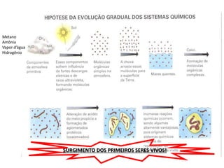 Metano
Amônia
Vapor d’água
Hidrogênio
SURGIMENTO DOS PRIMEIROS SERES VIVOS!
 