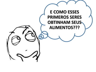 E COMO ESSES
PRIMEROS SERES
OBTINHAM SEUS
ALIMENTOS???
 