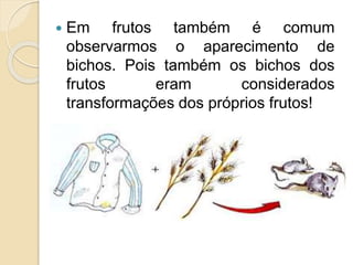  Em frutos também é comum
observarmos o aparecimento de
bichos. Pois também os bichos dos
frutos eram considerados
transformações dos próprios frutos!
 