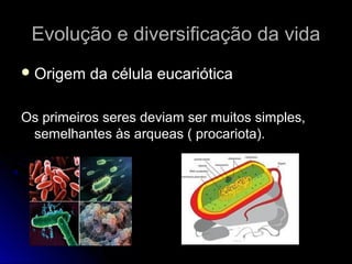Evolução e diversificação da vidaEvolução e diversificação da vida
 Origem da célula eucarióticaOrigem da célula eucariótica
Os primeiros seres deviam ser muitos simples,Os primeiros seres deviam ser muitos simples,
semelhantes às arqueas ( procariota).semelhantes às arqueas ( procariota).
 