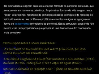 Fatos importantes a serem lembrados:Fatos importantes a serem lembrados:
As proteínas se acumularam nos mares primitivos, por isso,As proteínas se acumularam nos mares primitivos, por isso,
existia alimento em abundância.existia alimento em abundância.
Não existia oxigênio na atmosfera primitiva e, sim metano (CH4),Não existia oxigênio na atmosfera primitiva e, sim metano (CH4),
amônia (NH3), hidrogênio (H2) e vapor de água (H2O).amônia (NH3), hidrogênio (H2) e vapor de água (H2O).
Intensa incidencia de radiação solar – falta da camada de ozônioIntensa incidencia de radiação solar – falta da camada de ozônio
(O3).(O3).
Os aminoácidos reagiram entre eles e teriam formado as primeiras proteínas, que
se acumularam nos mares primitivos. As primeiras formas de vida surgem nesta
"sopa" de proteínas resultante de complexas reações químicas e de radiação de
raios ultra-violetas. As moléculas protéicas existentes na água se agregam na
forma de coacervados (complexos de proteína). Essas estruturas, apesar de não
serem vivas, têm propriedades que podem se unir, formando outro coacervado
mais complexo.
 
