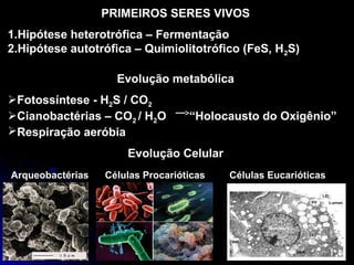 PRIMEIROS SERES VIVOS
1.Hipótese heterotrófica – Fermentação
2.Hipótese autotrófica – Quimiolitotrófico (FeS, H2S)
Evolução metabólica
Fotossíntese - H2S / CO2
Cianobactérias – CO2 / H2O “Holocausto do Oxigênio”
Respiração aeróbia
Evolução Celular
Arqueobactérias Células Procarióticas Células Eucarióticas
 