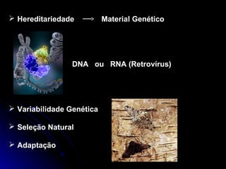  Hereditariedade Material Genético
DNA ou RNA (Retrovírus)
 Variabilidade Genética
 Seleção Natural
 Adaptação
 