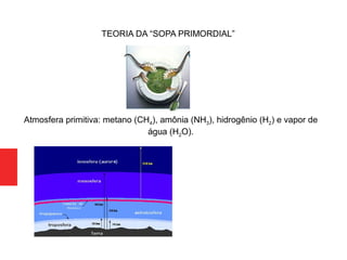 Atmosfera primitiva: metano (CH4), amônia (NH3), hidrogênio (H2) e vapor de
água (H2O).
TEORIA DA “SOPA PRIMORDIAL”
 