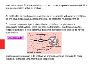 para estes mares foram arrastadas, com as chuvas, as proteínas e aminoácidos
que permaneciam sobre as rochas
As moléculas se combinavam e partiam-se e novamente voltavam a combinar-
se em nova disposição. E dessa maneira, as proteínas multiplicavam-se
É possível que nessa época já existissem proteínas complexas com
capacidade catalisadora, como enzimas ou fermentos, que facilitam certas
reações químicas, e isso acelerava bastante o processo de síntese de novas
substâncias
moléculas de proteínas e de lipídios se organizassem na periferia de cada
gotícula, formando uma membrana lipoprotéica
O coacervado
 