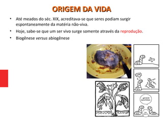 ORIGEM DA VIDAORIGEM DA VIDA
• Até meados do séc. XIX, acreditava-se que seres podiam surgir
espontaneamente da matéria não-viva.
• Hoje, sabe-se que um ser vivo surge somente através da reprodução.
• Biogênese versus abiogênese
 