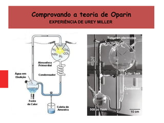 Comprovando a teoria de Oparin
EXPERIÊNCIA DE UREY MILLER
 