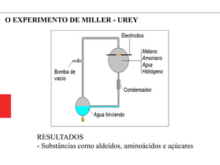O EXPERIMENTO DE MILLER - UREY
RESULTADOS
- Substâncias como aldeídos, aminoácidos e açúcares
 